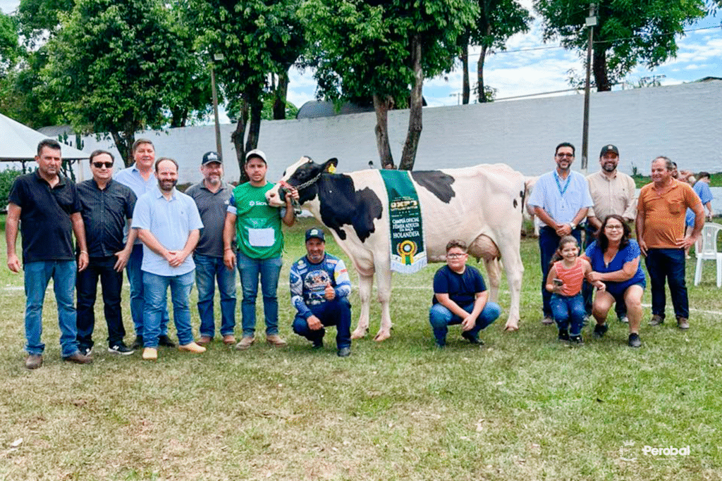 Materia2-1-1-1024x683 Produtores de Perobal conquistam destaque e levam premiações na Expo Umuarama 2026